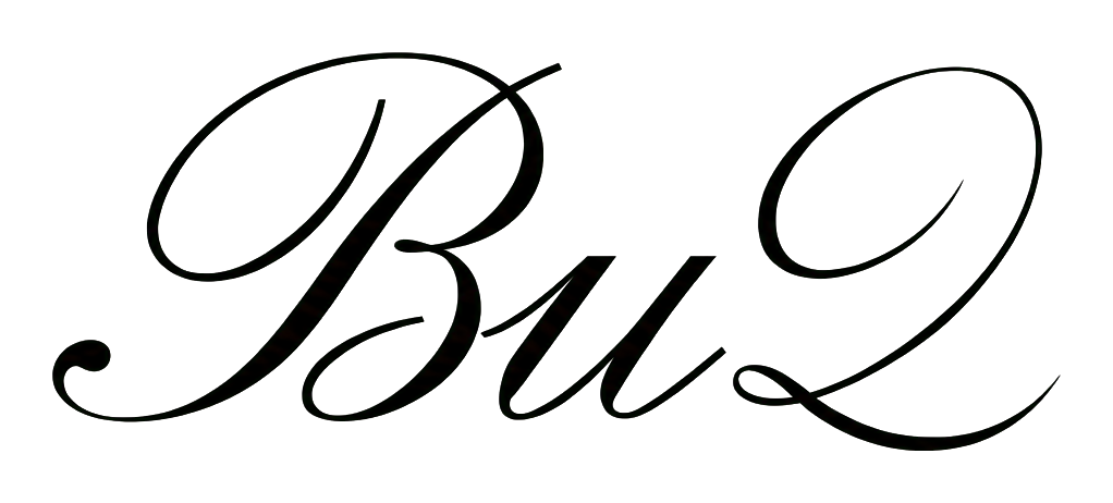 ViD logo